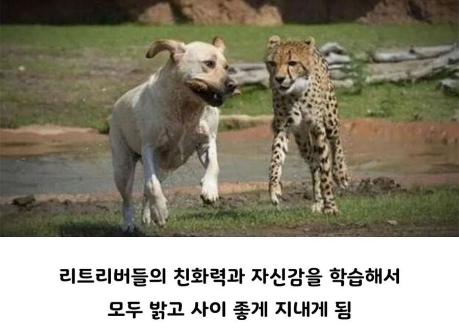 아싸를 인싸와 함께 성장 시킨 결과_5.jpg