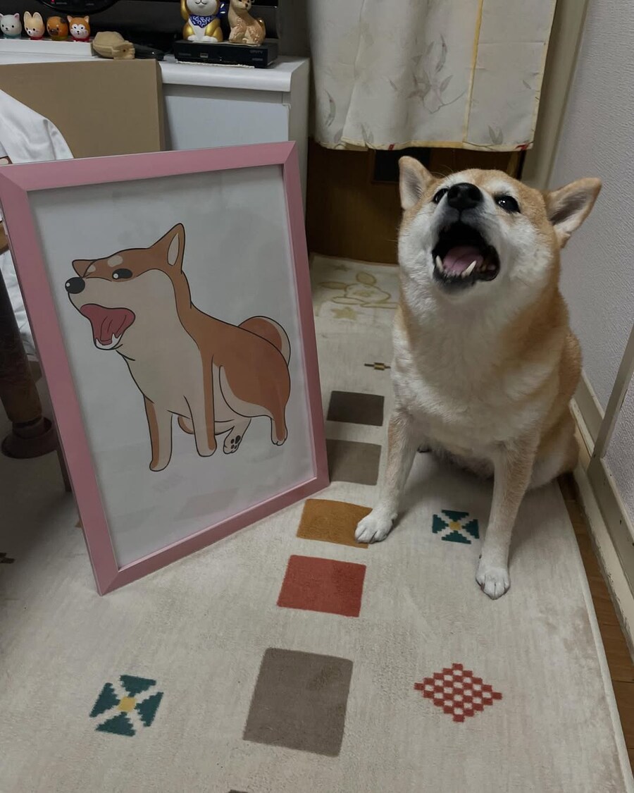 이 액자에 그림이 나라고??_2.jpg