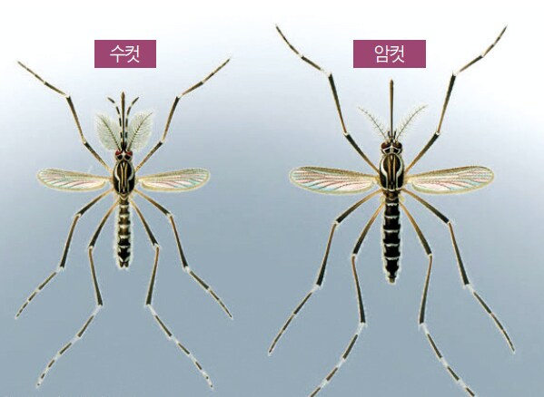 특정 집단 때문에 피해보는 다른 집단의 대표적 예_1.png