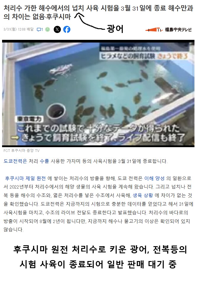 드디어 일본에서 성공한 광어 양식 현장 jpg_1.png