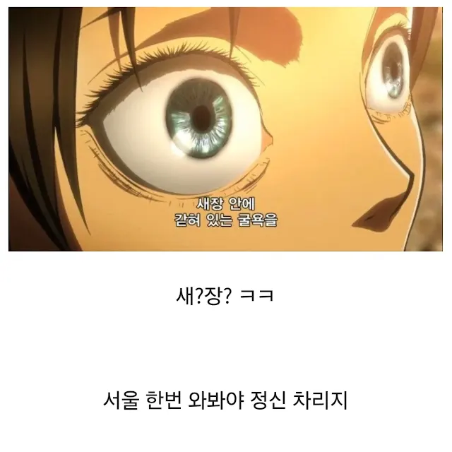 가끔씩 설정 오류 아니냔 소리 듣는 진격의 거인_4.webp