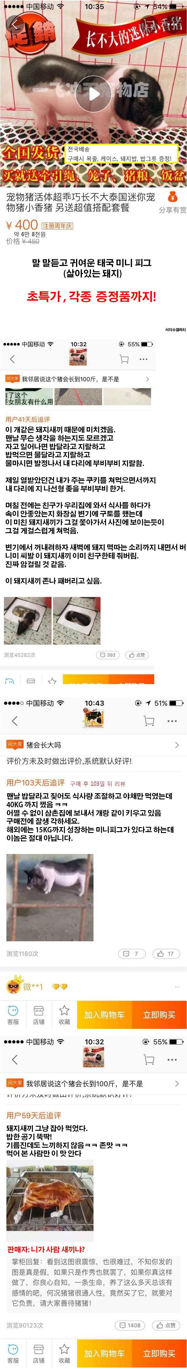 타오바오 애완돼지 후기_1.jpg