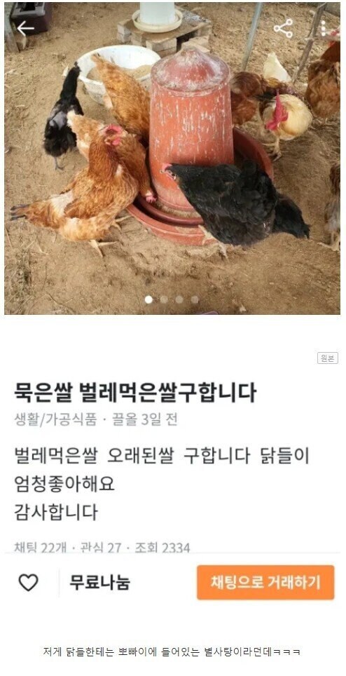 묵은쌀 벌레먹은쌀을 구하는 이유.jpg_1.jpg