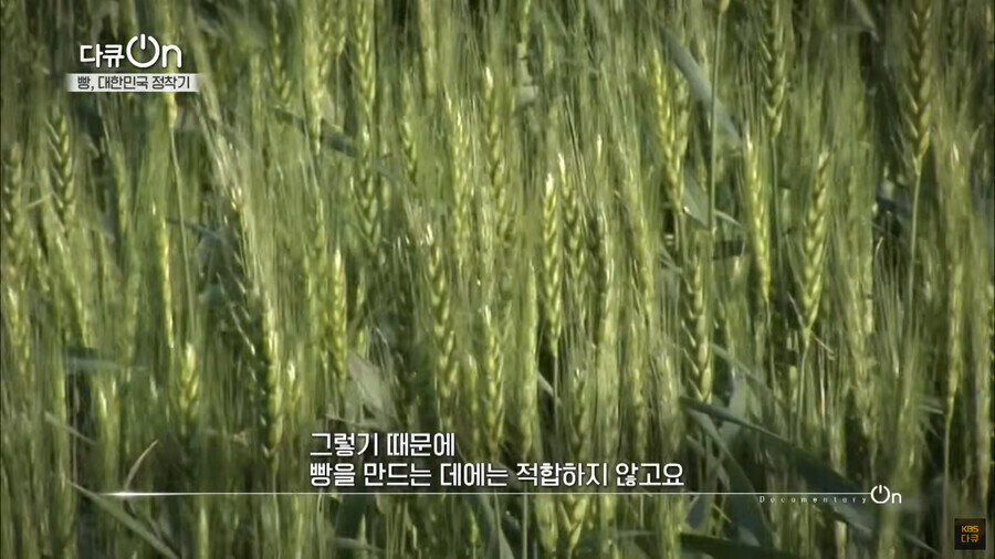 청나라에서 맛본 서양떡에 홀린 조선 대신의 좌절_16.jpg