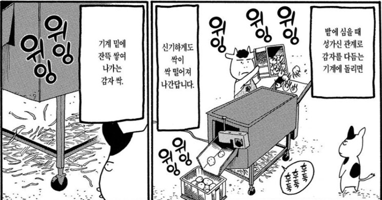 백성귀족) 사람 여럿 잡을뻔한 작가_5.png