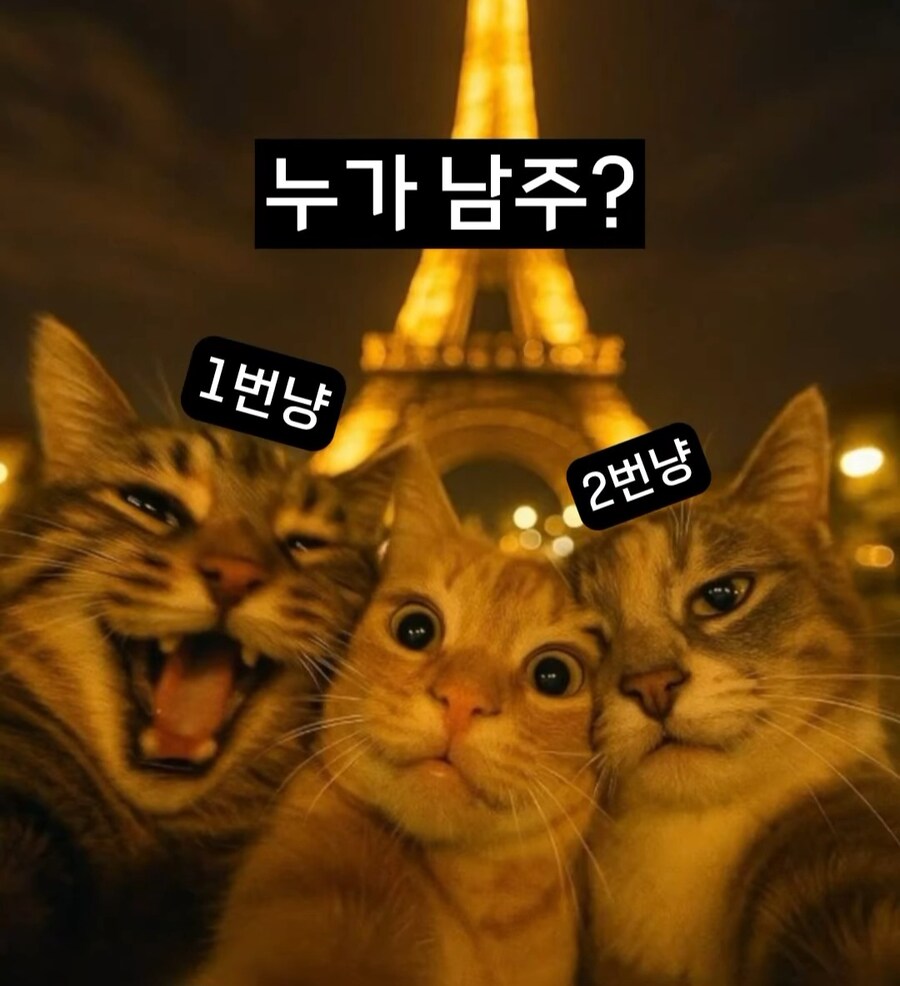 1번이 남주다 vs 2번이 남주다_1.jpg