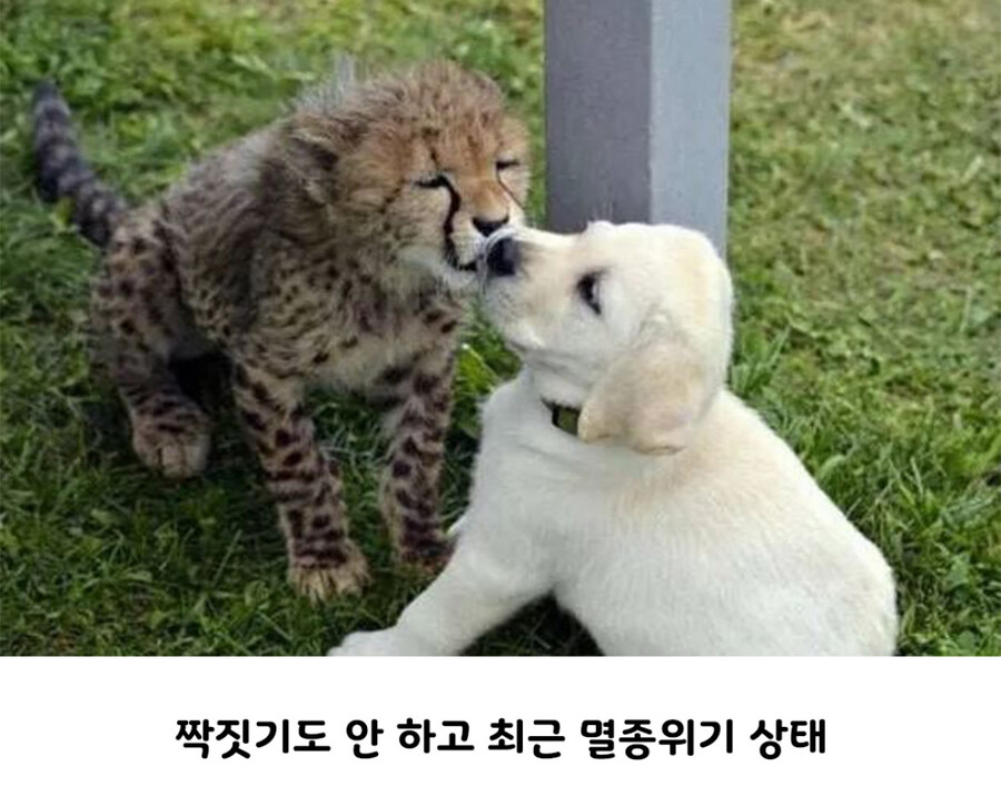 아싸 프렌즈를 인싸로 만들어주는 프렌즈.jpg_2.jpg