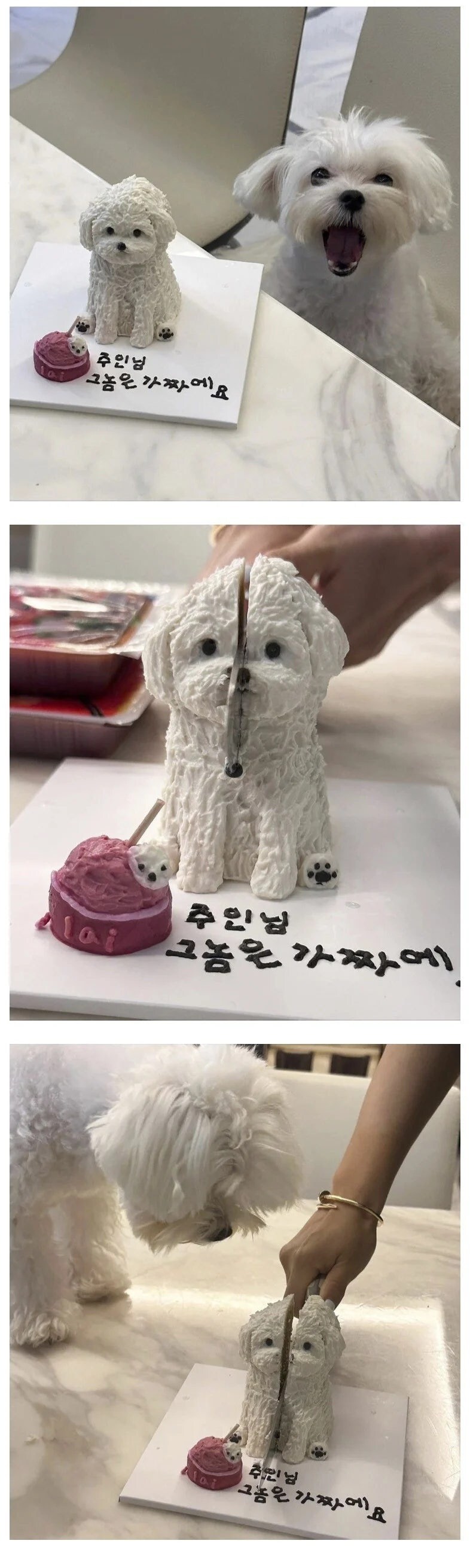 주인님 그놈은 가짜에요_1.jpg