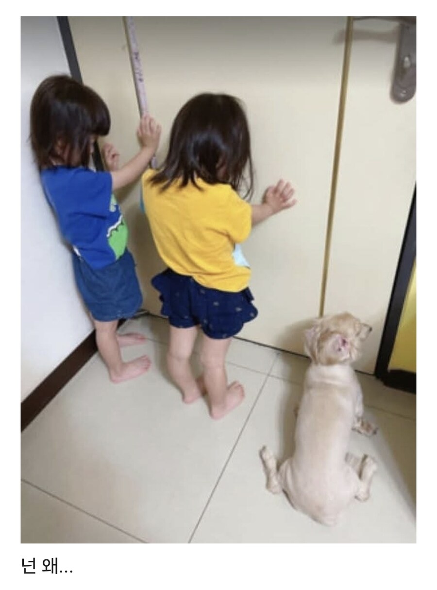 엄마한테 혼나고 벌 서는중_1.jpg