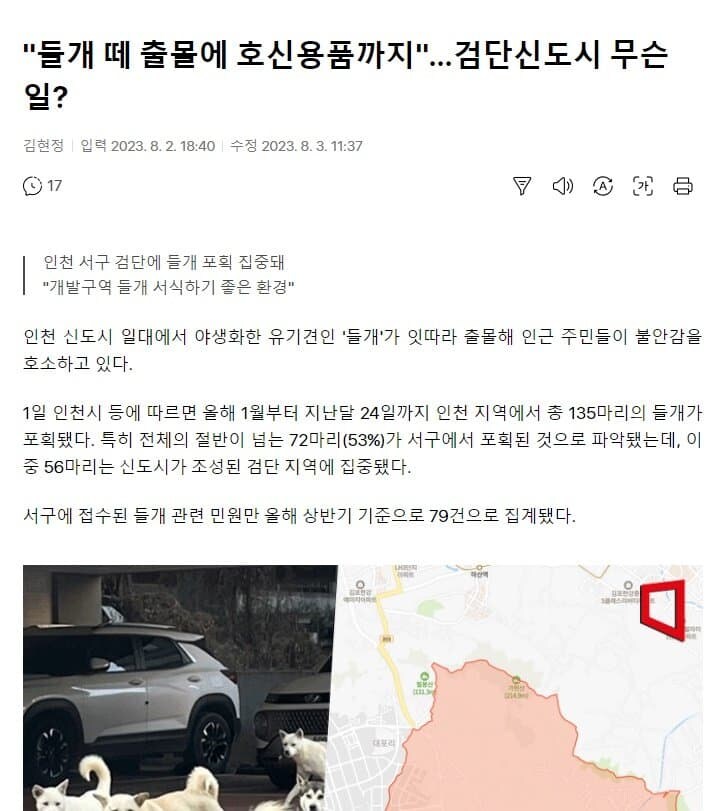 들개떼 출몰로 골치인 지역_2.jpg