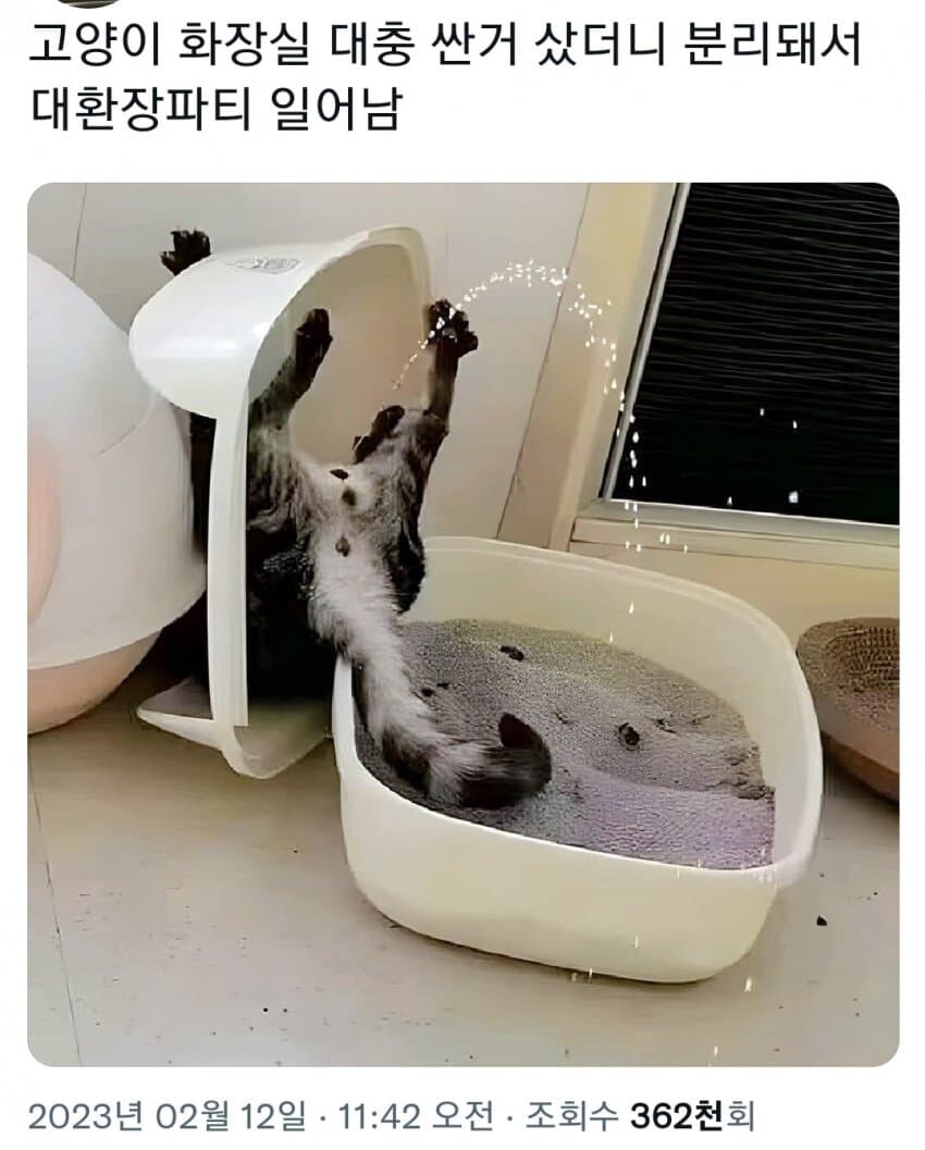 싸구려 화장실 쓰던 강아지 대참사_1.jpg