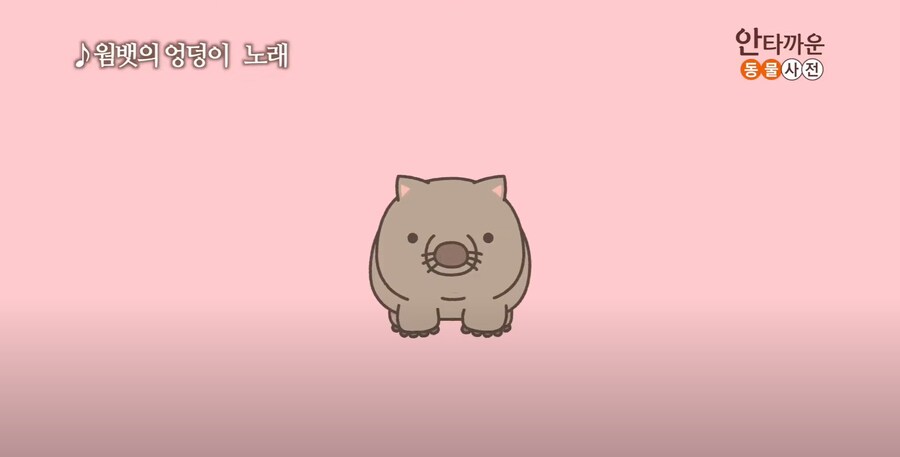안타까운 생물.jpg_1.png
