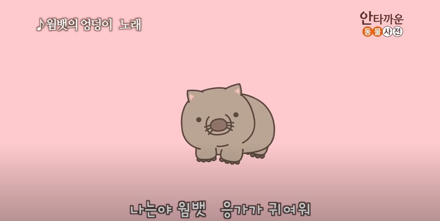 안타까운 생물.jpg_2.png