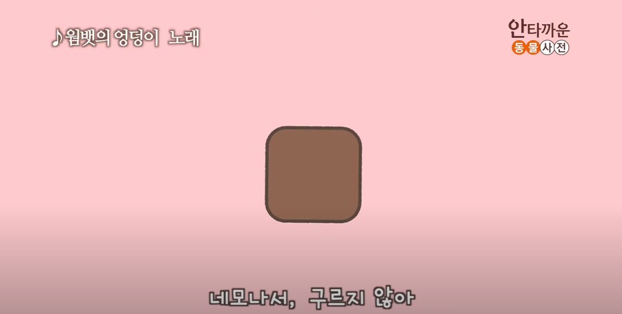안타까운 생물.jpg_3.png