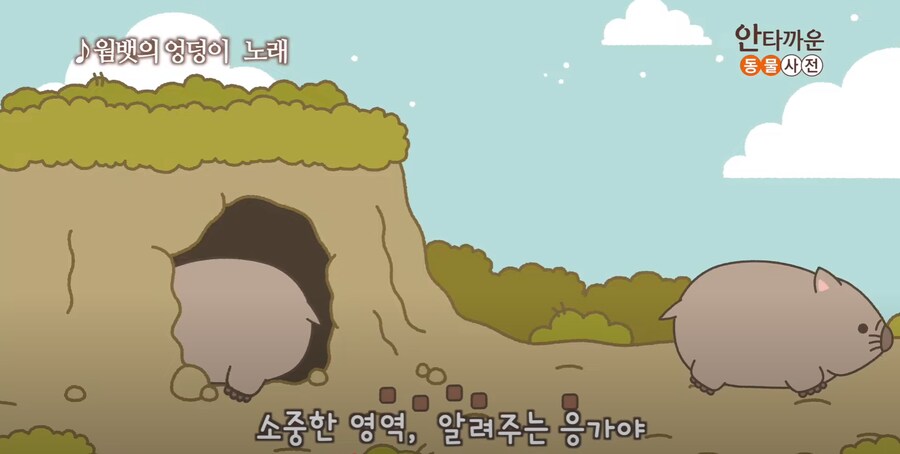 안타까운 생물.jpg_4.png