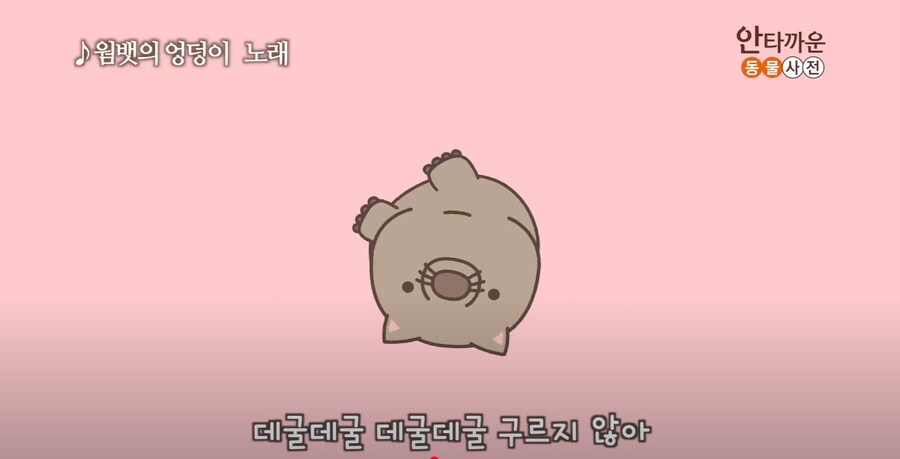 안타까운 생물.jpg_5.png