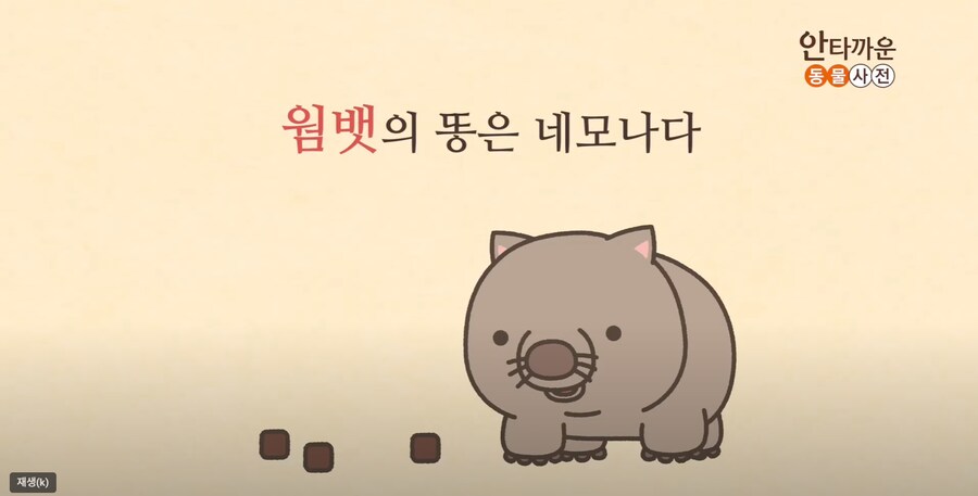 안타까운 생물.jpg_7.png