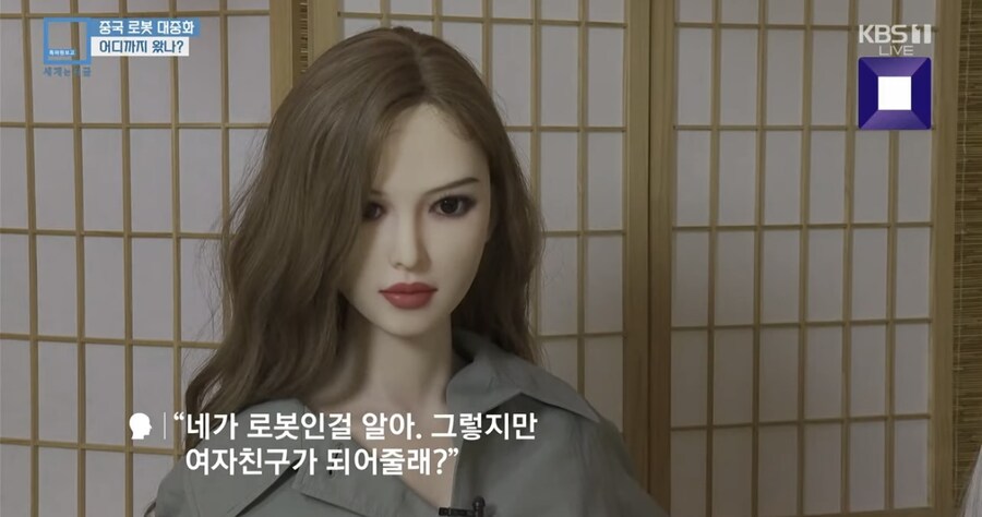 테무의 나라 성인돌 퀄리티 수준_5.jpg
