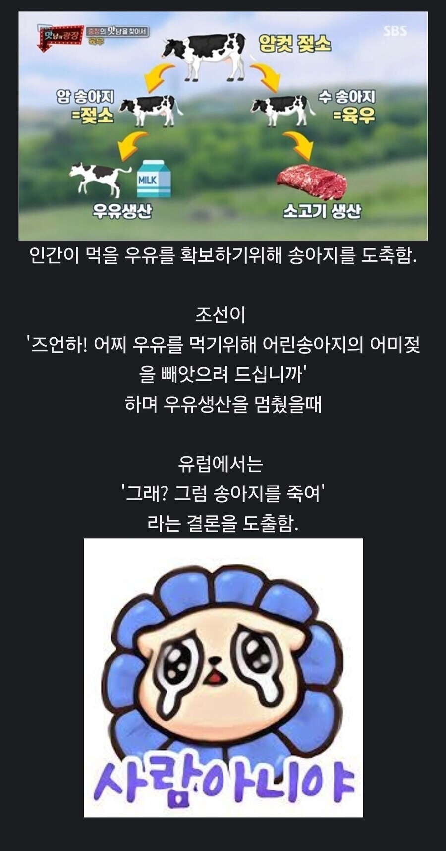 서양에