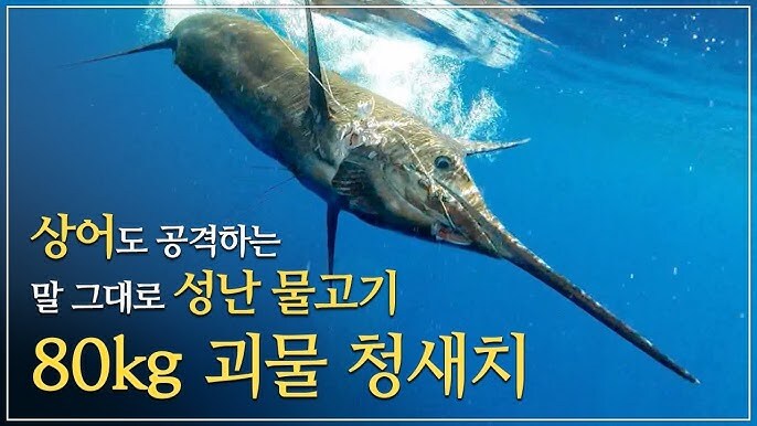 의외로 인간을 공격하지 않는 생물_2.jpg