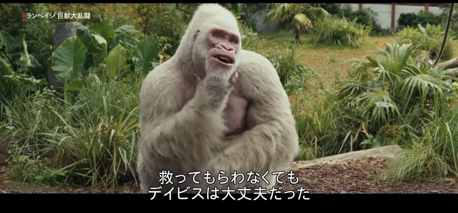 고릴라가 나오는 렘페이지라는 영화 예고편에 달린 댓글_1.jpg