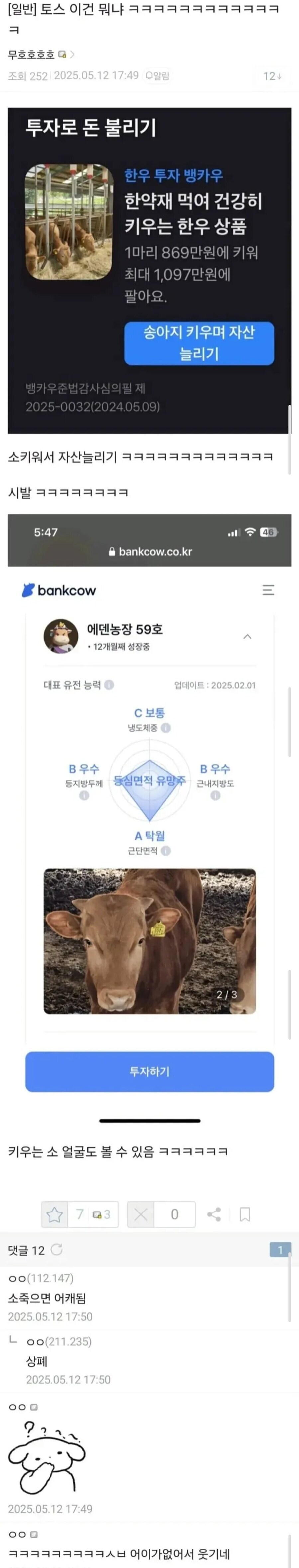 가지 가지 한다는 토스_1.jpg