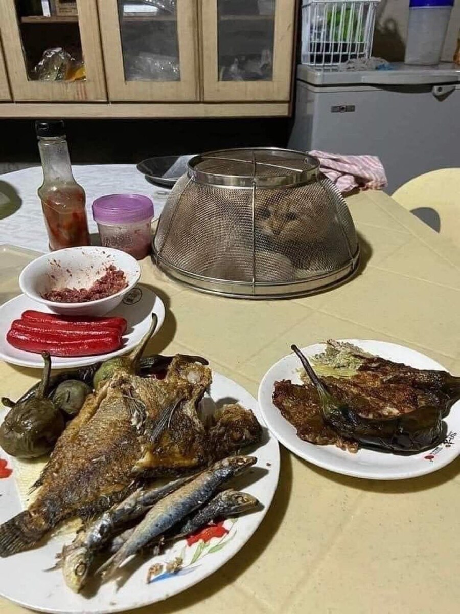 불편해보여도 상호합의 하에 이러고 있는겁니다_1.jpg