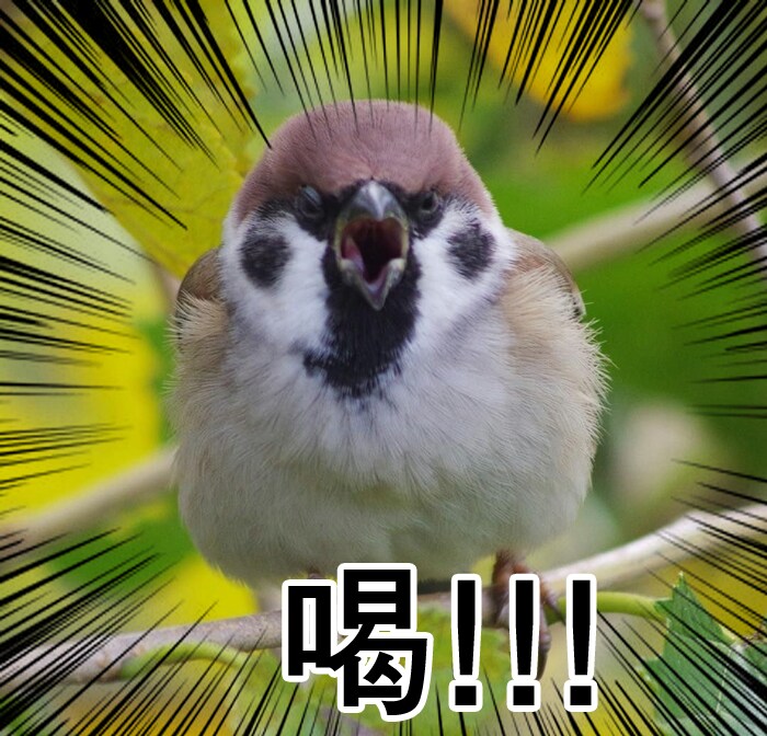 MCU) 가오갤에서 재밌는 파트_1.png