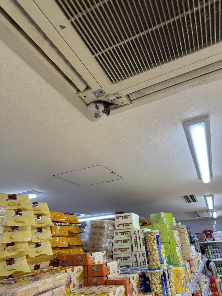 의외로 에어컨에서 나오는 것.jpg_1.jpg