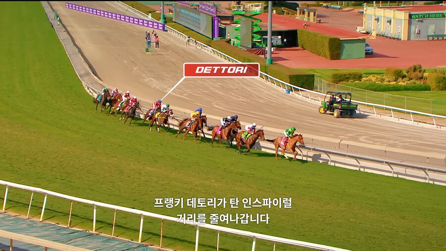 매년 2만마리의 말이 태어나고 20마리만 경주할수 있다_4.jpg