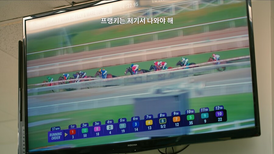 매년 2만마리의 말이 태어나고 20마리만 경주할수 있다_5.jpg