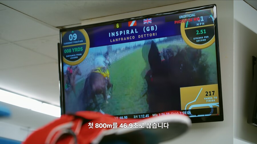 매년 2만마리의 말이 태어나고 20마리만 경주할수 있다_6.jpg