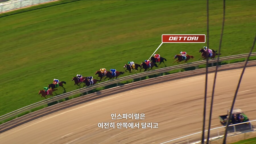 매년 2만마리의 말이 태어나고 20마리만 경주할수 있다_7.jpg
