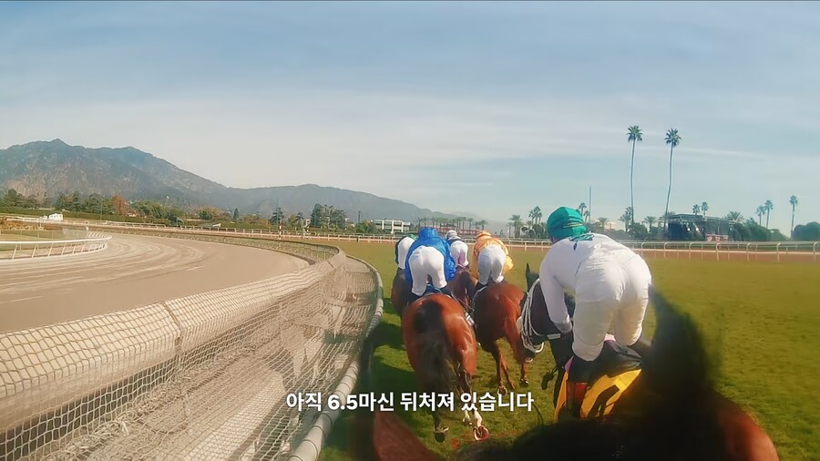 매년 2만마리의 말이 태어나고 20마리만 경주할수 있다_8.jpg