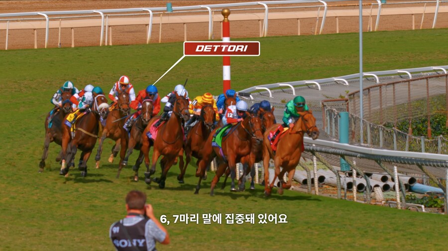 매년 2만마리의 말이 태어나고 20마리만 경주할수 있다_9.jpg