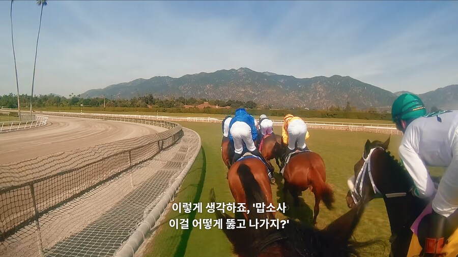 매년 2만마리의 말이 태어나고 20마리만 경주할수 있다_10.jpg