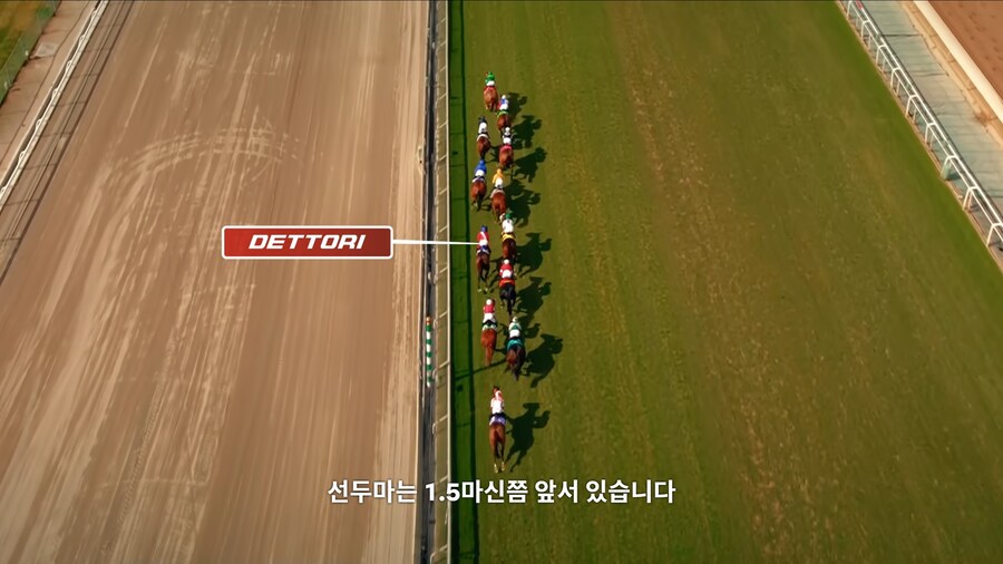 매년 2만마리의 말이 태어나고 20마리만 경주할수 있다_12.jpg