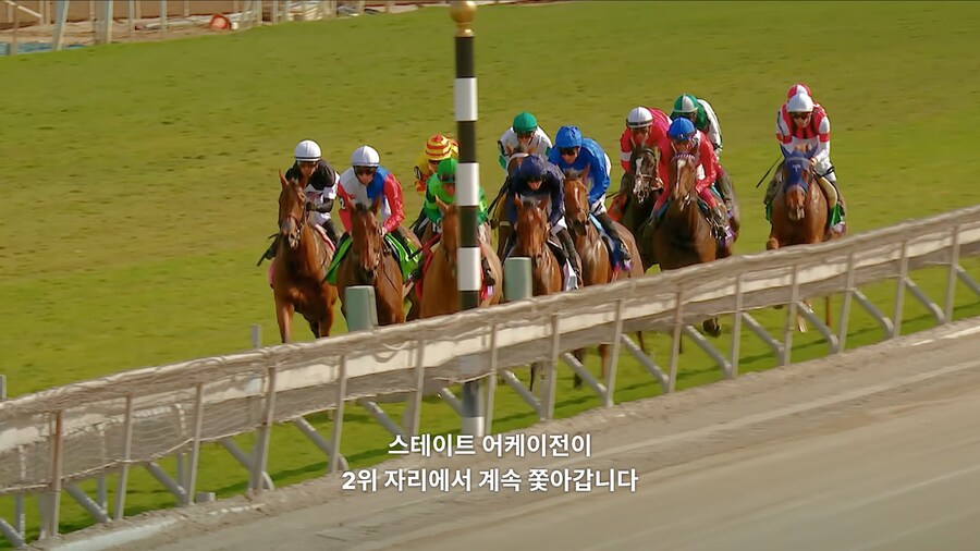 매년 2만마리의 말이 태어나고 20마리만 경주할수 있다_13.jpg