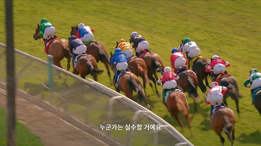 매년 2만마리의 말이 태어나고 20마리만 경주할수 있다_15.jpg