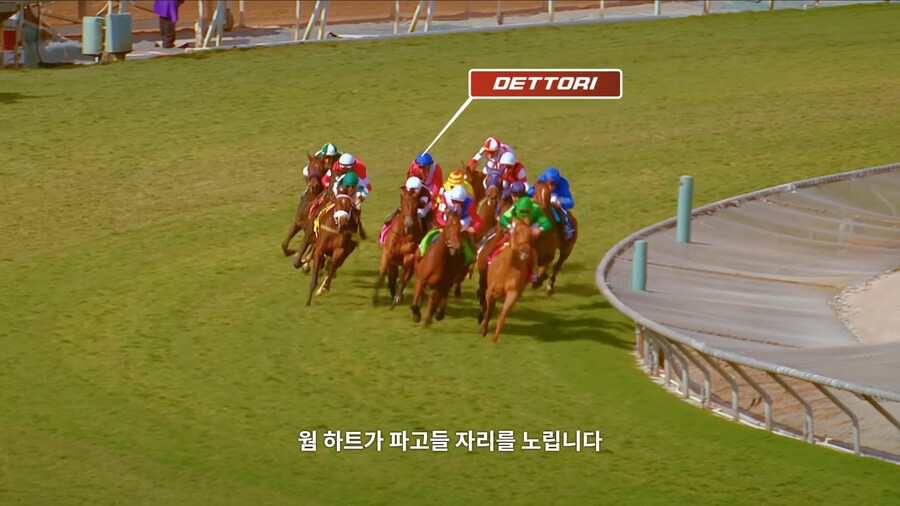 매년 2만마리의 말이 태어나고 20마리만 경주할수 있다_16.jpg