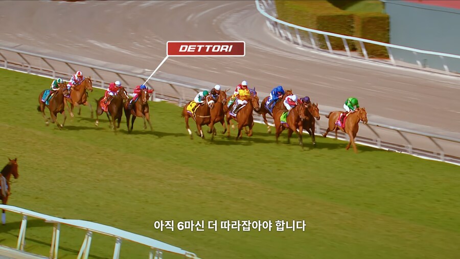 매년 2만마리의 말이 태어나고 20마리만 경주할수 있다_17.jpg