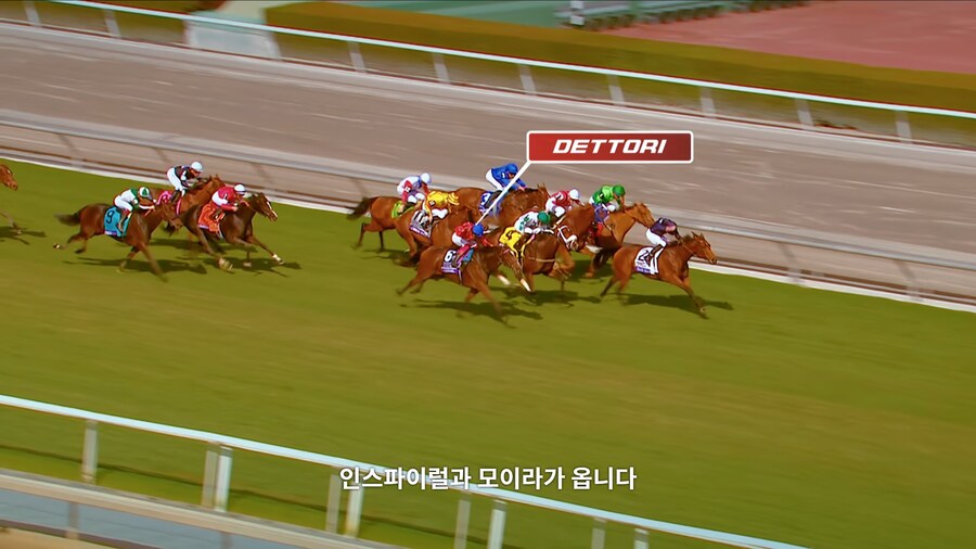 매년 2만마리의 말이 태어나고 20마리만 경주할수 있다_18.jpg
