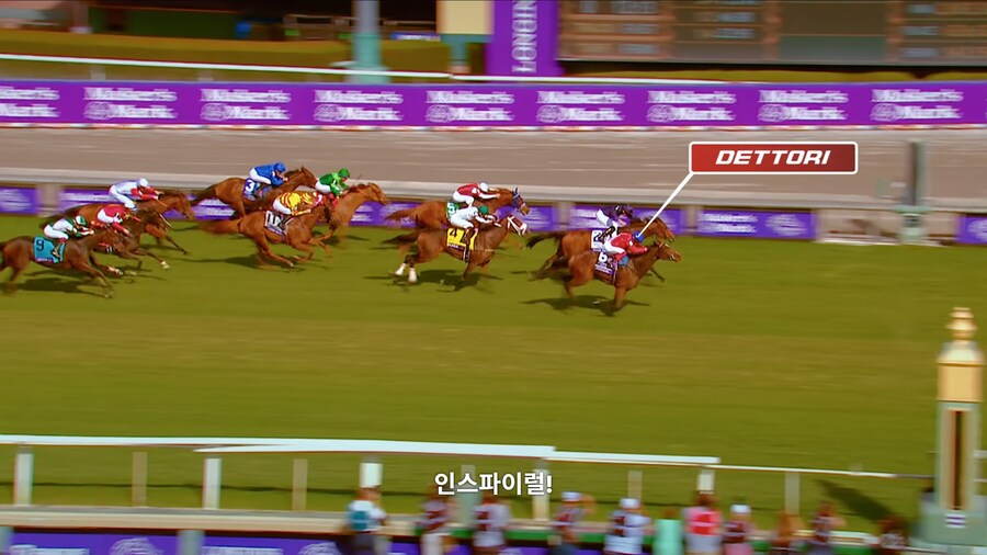 매년 2만마리의 말이 태어나고 20마리만 경주할수 있다_20.jpg