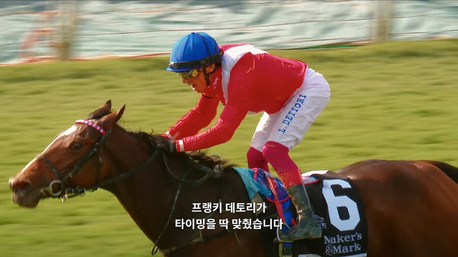 매년 2만마리의 말이 태어나고 20마리만 경주할수 있다_22.jpg