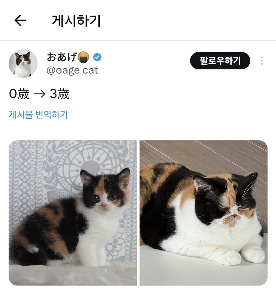 3년의 세월을 전통으로 맞은 외모_1.jpg