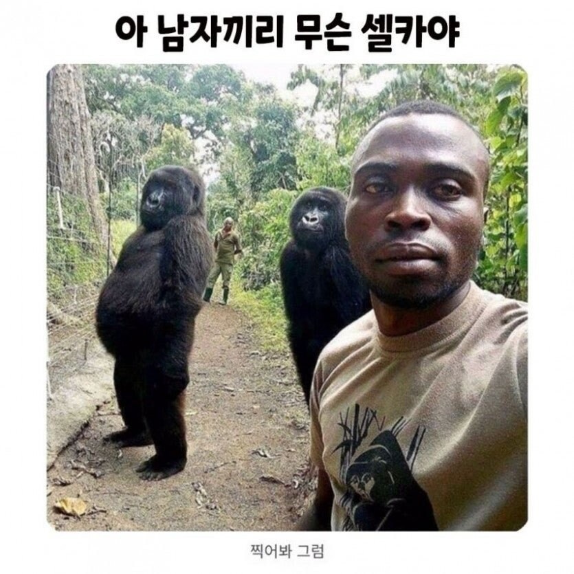 남자끼리 무슨 셀카야.jpg_1.jpg