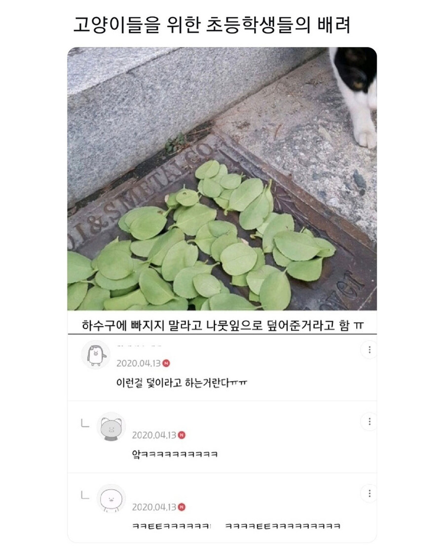 고양이를 배려한 초등학생들.jpg_1.jpg