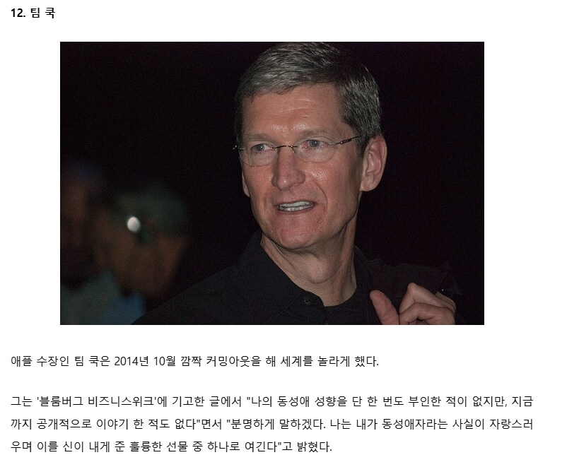 미국의 탑게이 TOP 5_1.png