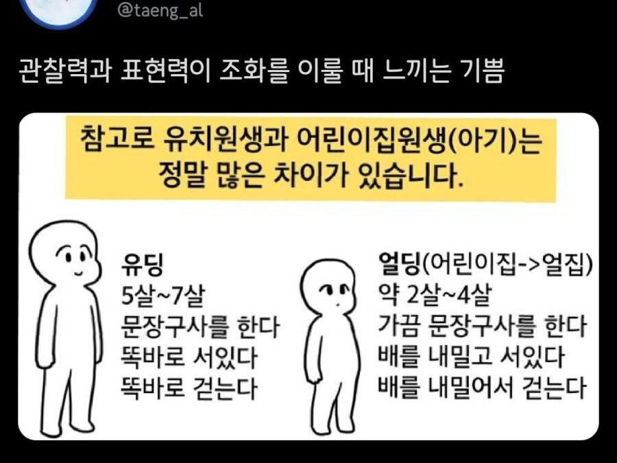 유치원과 어린이집 원생 차이.jpg_1.jpg
