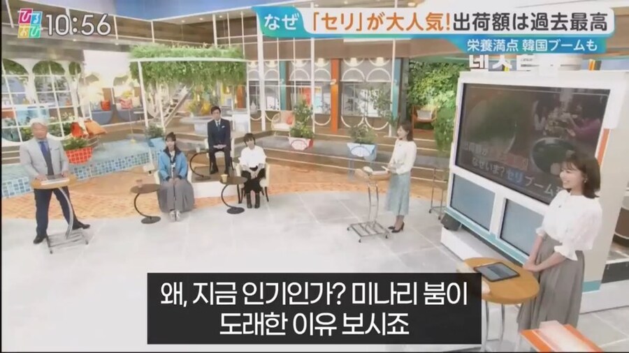 일본에서 미나리 가격이 오르고 있는 이유_4.jpg